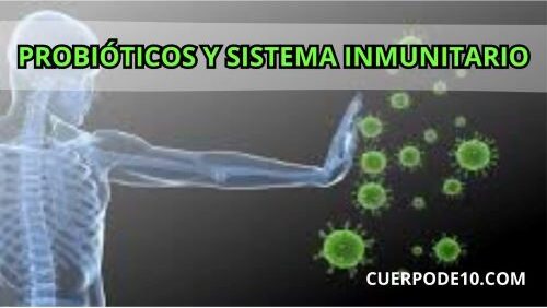 La salud intestinal y el sistema inmunitario están estrechamente relacionados. Los probióticos pueden favorecer el equilibrio de las bacterias beneficiosas del intestino, lo que a su vez ayuda a reforzar el sistema inmunitario. 